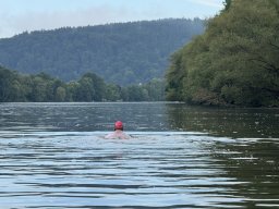 Mainschwimmen Juni 2026